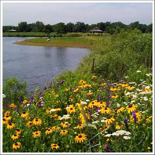 View of Cenaiko Lake Prairie. View of Cenaiko Lake Prairie.