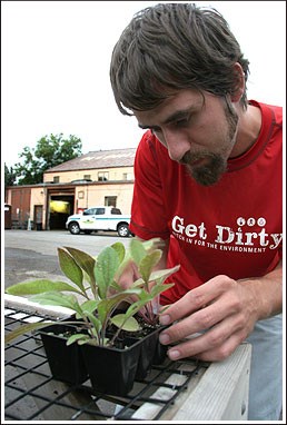 Ranger Burns transplants a large black-eyed susan into a larger pot.