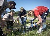 People crowding around a seedling flat and picking plants out of it.