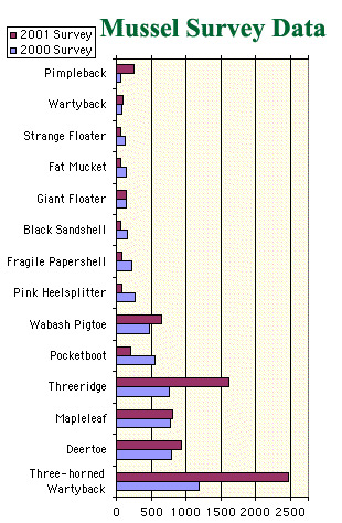 A bar graph