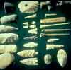 Tools made of of mussels