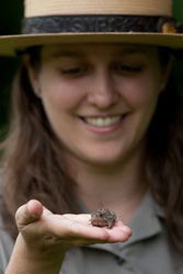 Ranger Rebecca holds a toad found during BioBlitz.