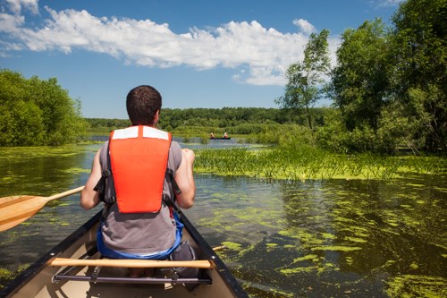 Canoeist paddling on a river flowing through a forest.