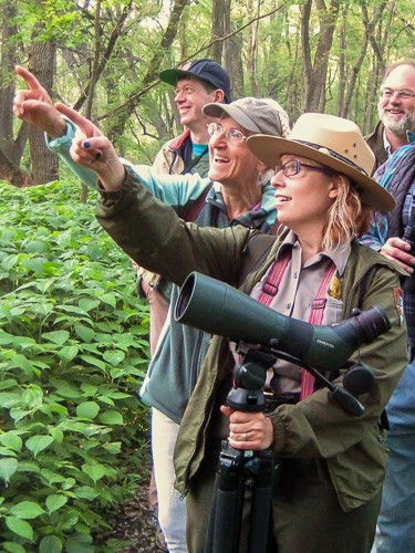 A birding trip participant and ranger point at a bird in a tree.