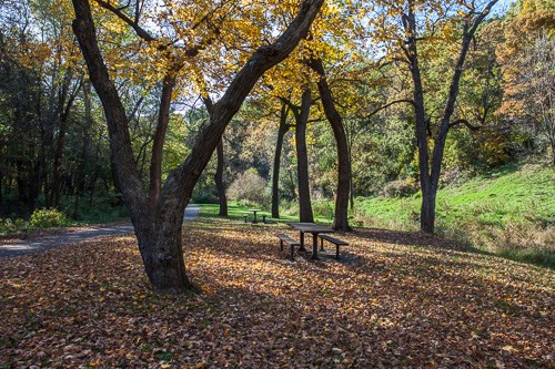 Battle Creek picnic table next to sandstone bluffs.