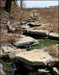 A stream winds its way through large slab rocks.  The banks are lined with prairie grasses and trees.