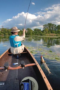 A fisher catches a northern pike on one of the lakes within the Mississippi National River and Recreation Area.