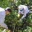 Habitat Restoration Volunteers