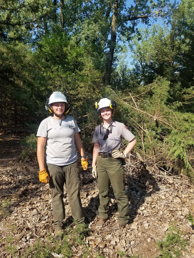 Two park rangers wearing hardhats and eat protection stand next to downed trees