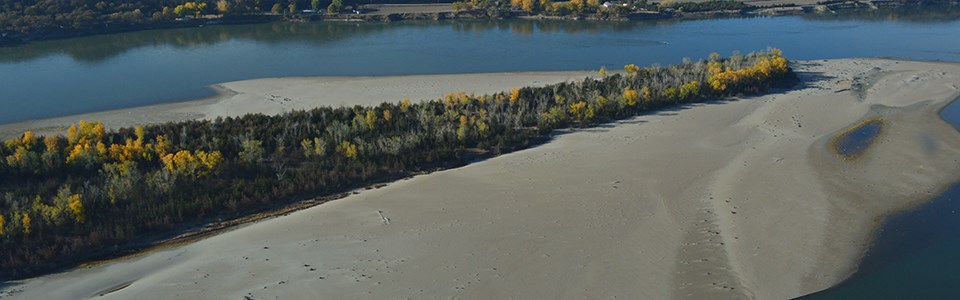 An aerial view of Goat Island in the autumn season.