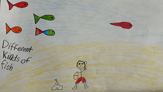 All Kinds of Fish A child's illustration of colorful fish found in the river.