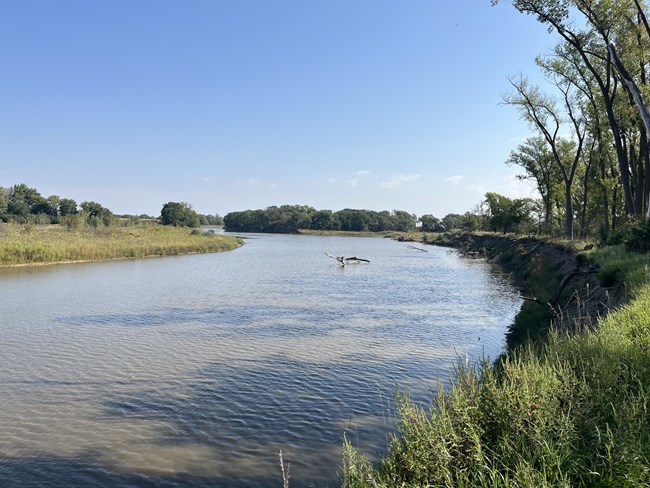 River channel cuts through the middle of two pieces of land that have green grass and tall trees. The right side portion of land has a small river bluff. The sky is blue with only a few clouds way off in the distance.