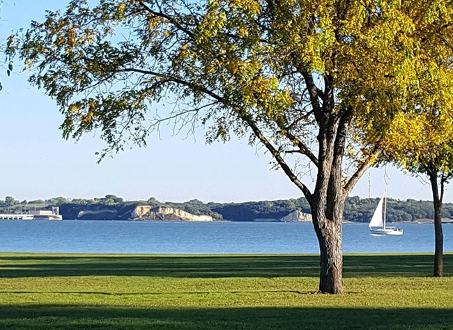 A lone tree stands in front of a wide open lake. A sailboat sails on the lake.