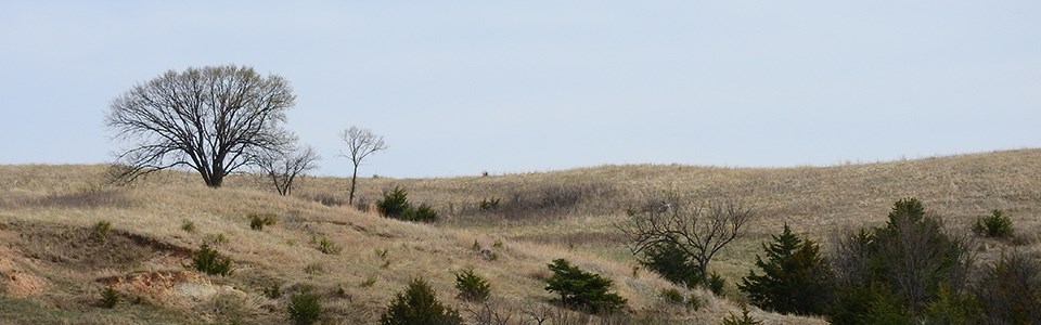 Rolling hills and prairie landscapes are found along the many scenic roads along the Missouri River.