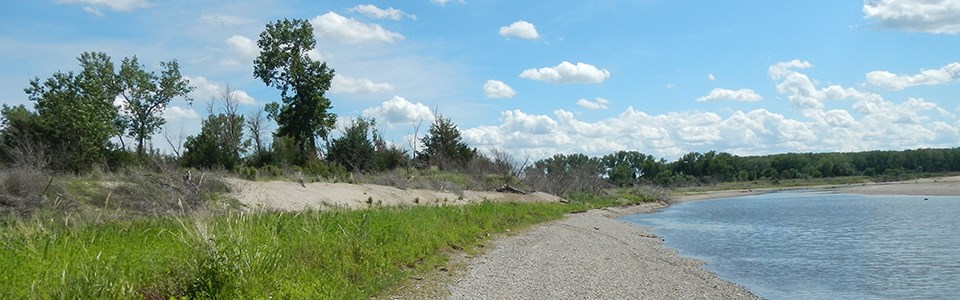 Green Stuff in the Water - Prairie Rivers of Iowa