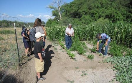 Jr Ranger Campers stand to the left, while a man and a woman stand in a garden with corn.