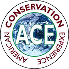 ACE Logo