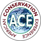 ACE Logo