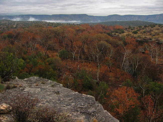 Autumn at Montezuma Well