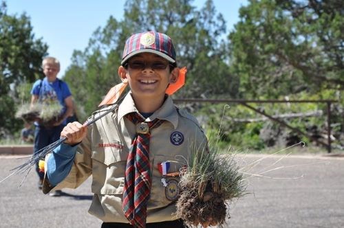 Boy Scout with gardening tools and a plant