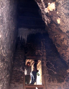 Ladder to level three