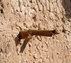 Floor beams visible extending from the outer wall of the Castle.