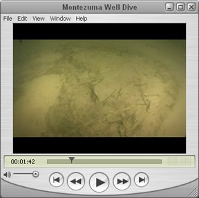 Montezuma Well Dive Montezuma Well Dive