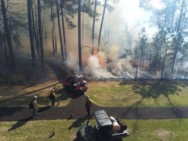 Aerial view of a Controlled Burn in a longleaf pine forest.