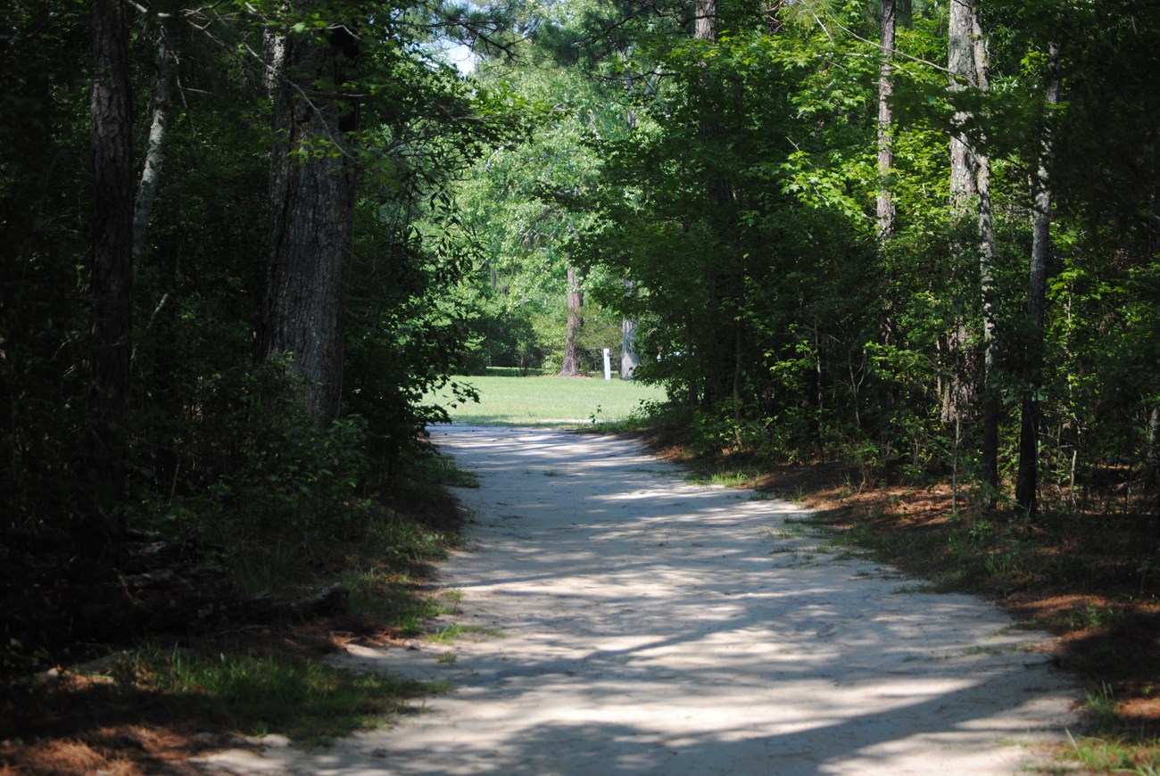 Historic Road