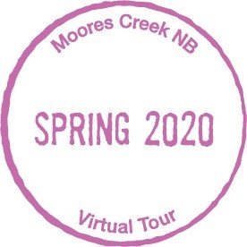 MOCR-VirtualCancellation