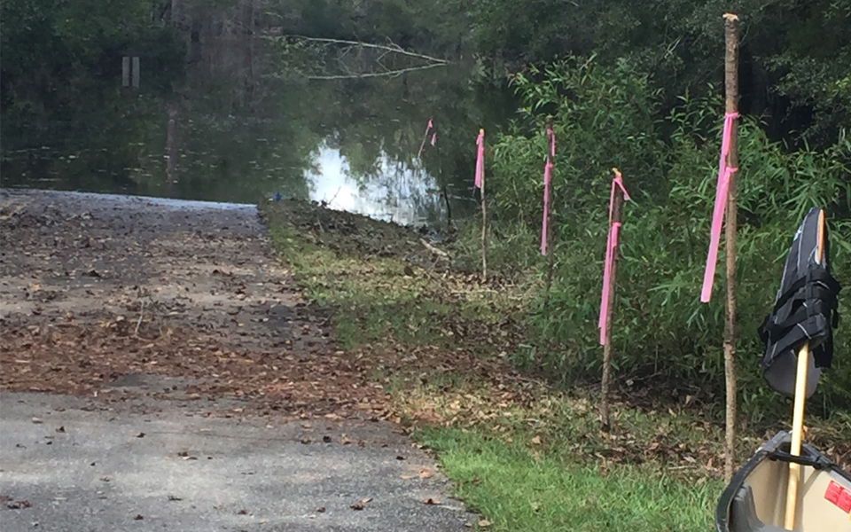 Water continues to recede at Moores Creek. Wooden stakes in a row in the ground on the side of the road lead up to the edge of water covering the road. The stakes indicate the receding of flood waters.