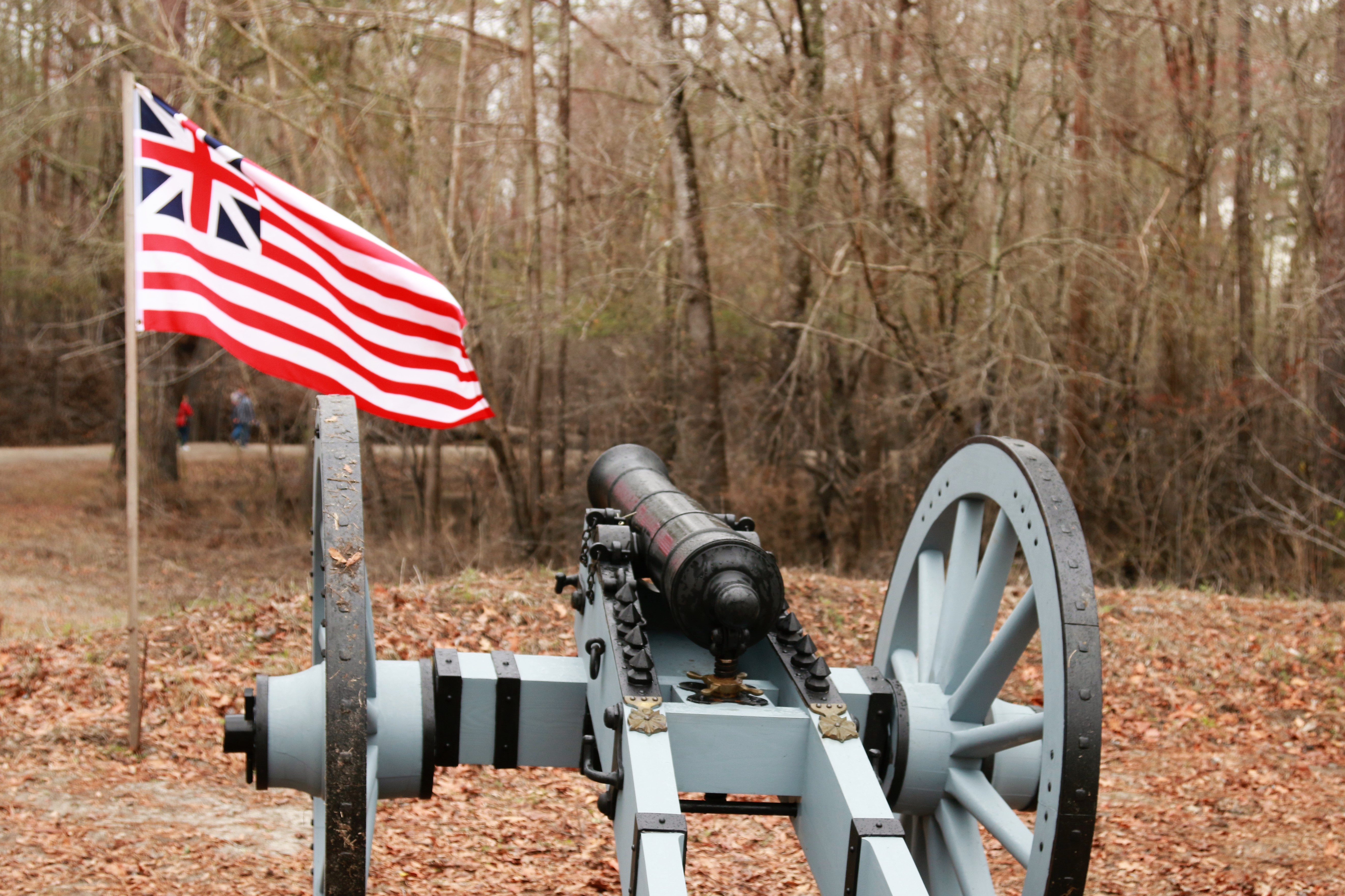 Cannon with a flag