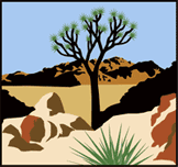The Mojave Desert Land Trust