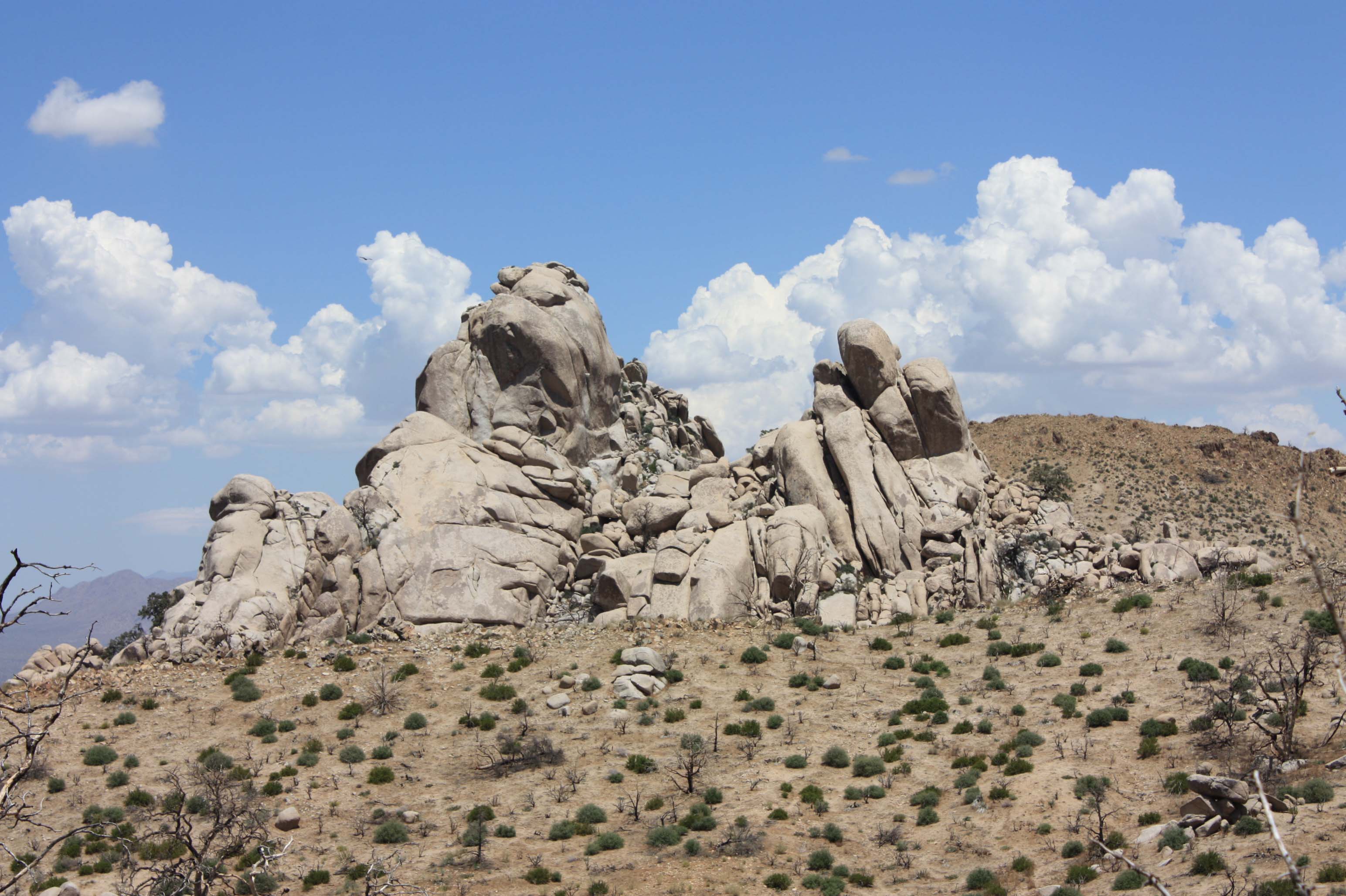 Eagle Rocks - Mojave National Preserve (U.S. National Park Service)