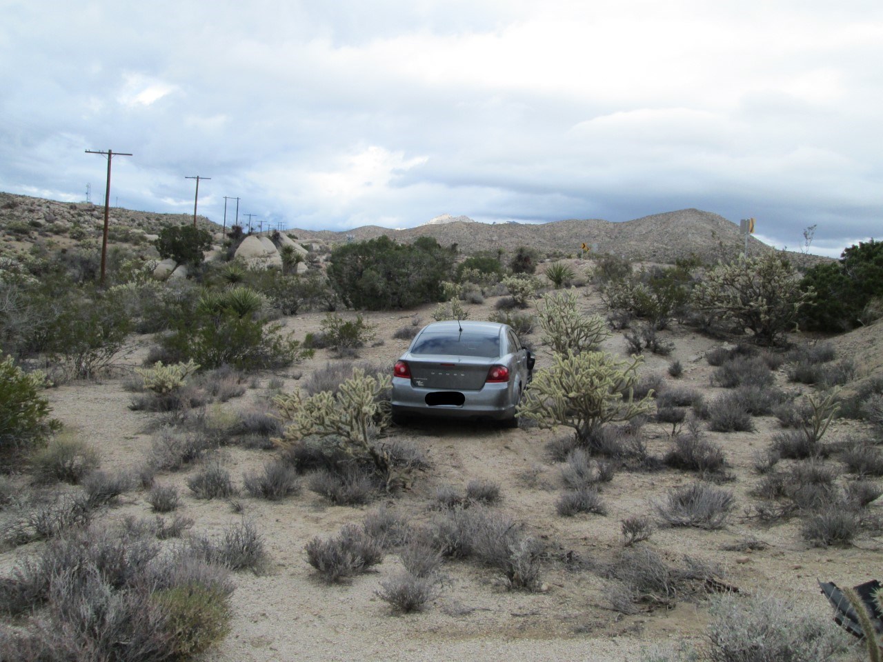 A low clearance vehicle that got stuck amongst creosote and cactus that tried to create a new desert road.