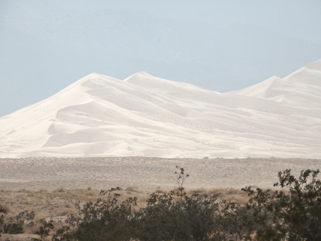 Kelso Dunes from the north