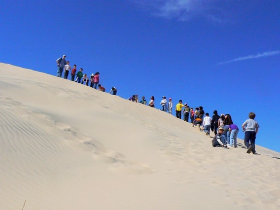 Kids climbing dunes