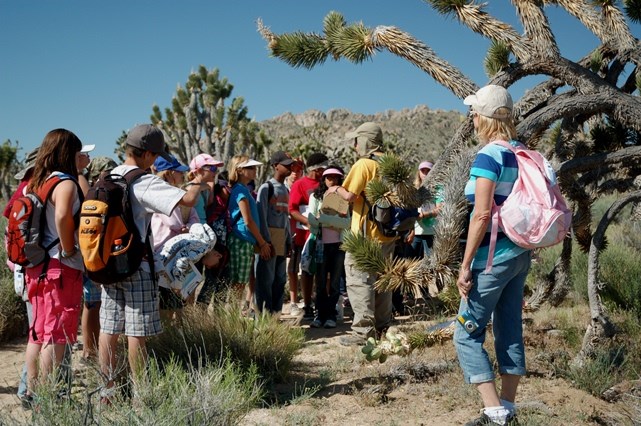 Students in Joshua tree forest