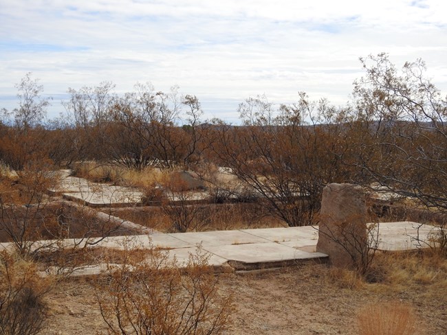 The remains of concrete structures, partially reclaimed by desert plant life.