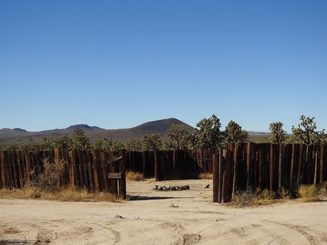 A fence made of old wooden posts assembled close together. In the background, volcanoes and joshua trees are visible.
