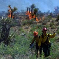 photo of Hackberry Fire