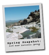 Garvanza Spring polaroid