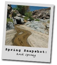 Rock Spring polaroid