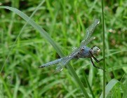 Nature and Science
