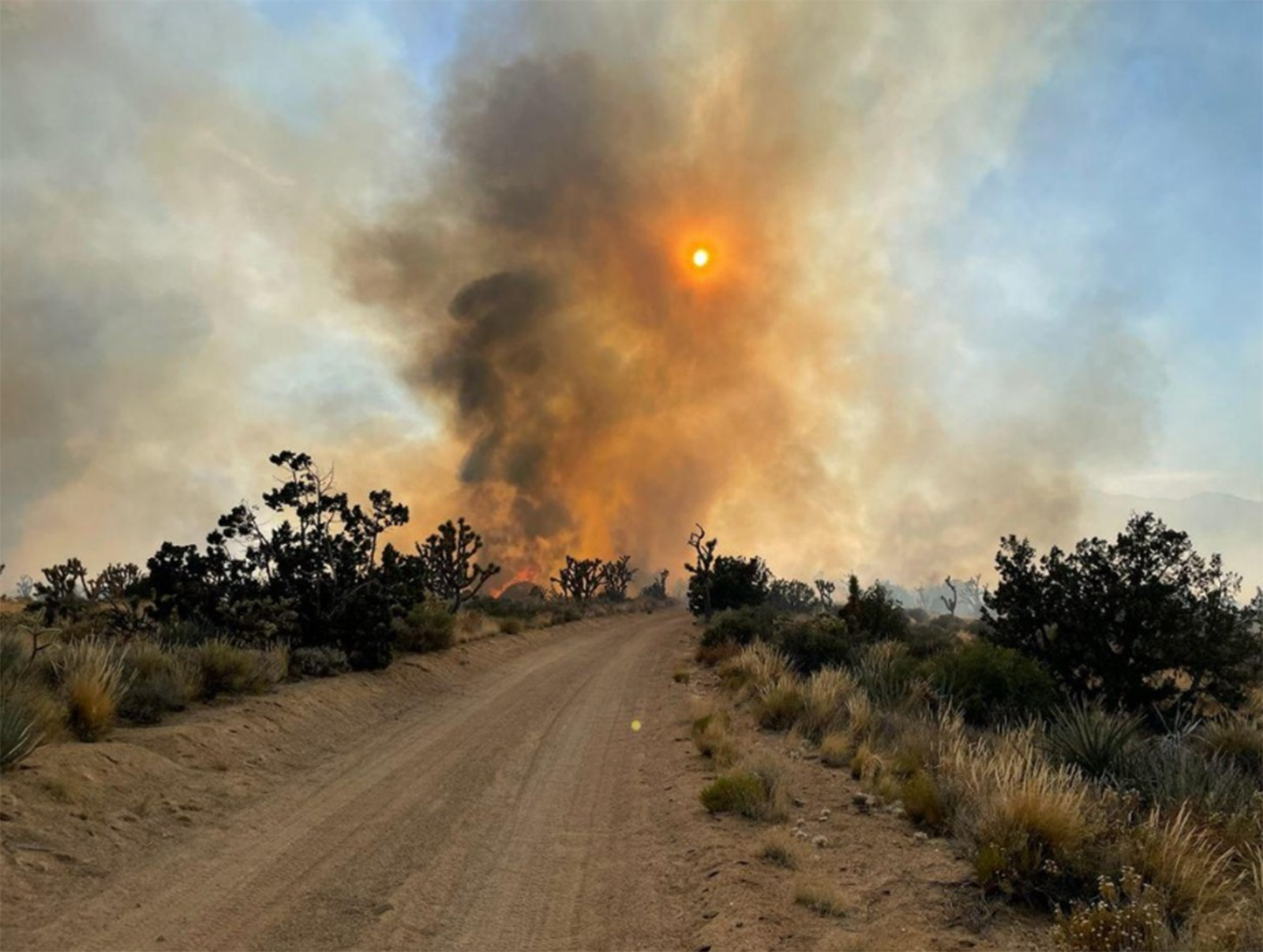 A column of smoke partially obscures the sun while looking down a dirt road in the desert
