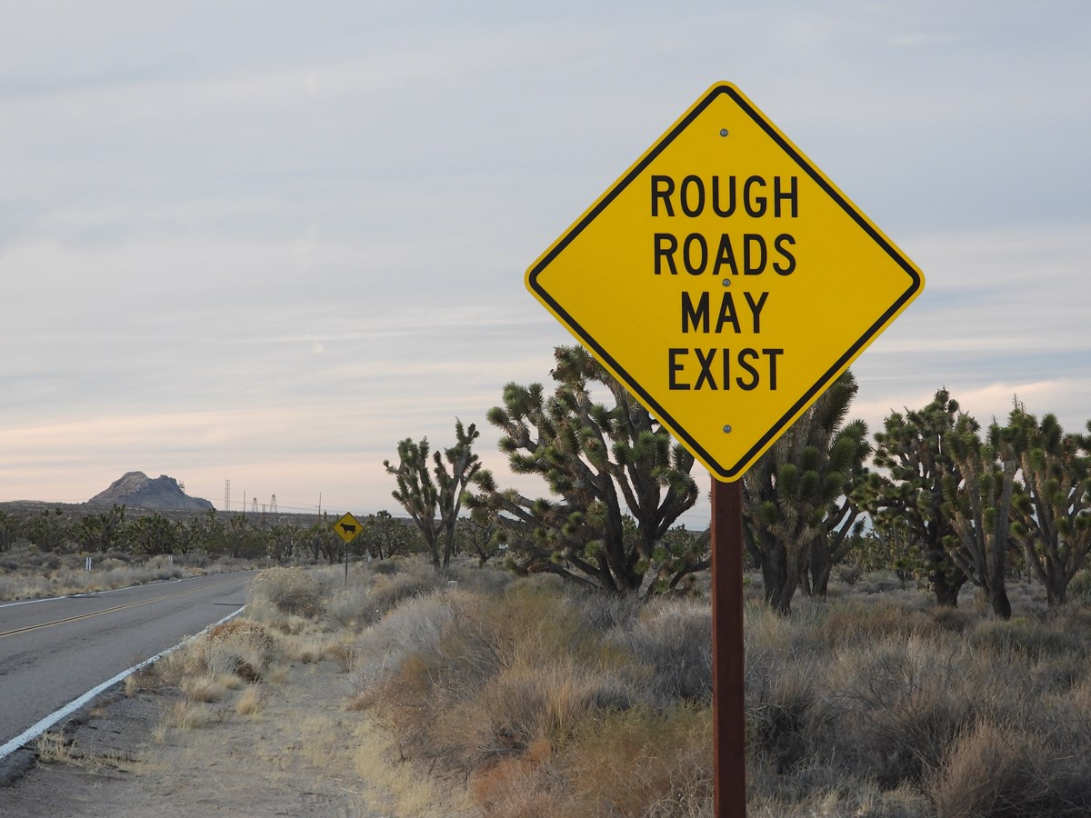 a yellow diamond road sign that contains "rough roads may exist" in front of a desert road with joshua trees and a cattle crossing sign