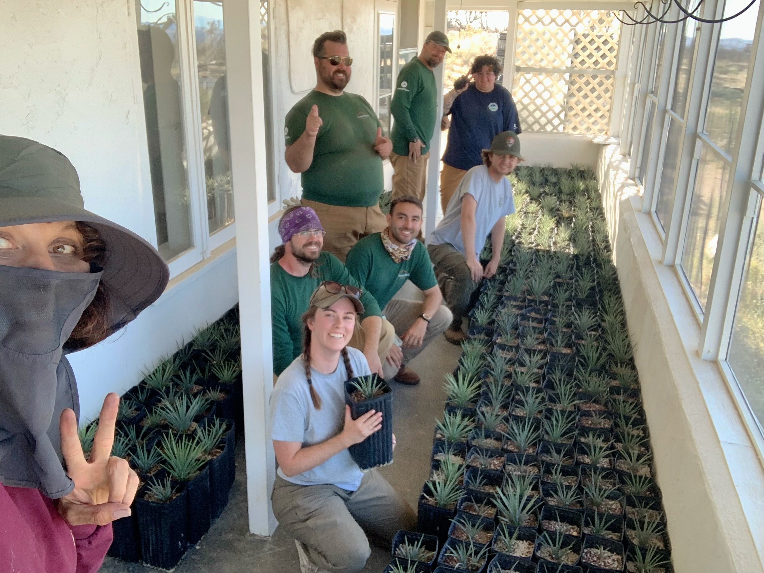 A group of people posing with baby Joshua trees.