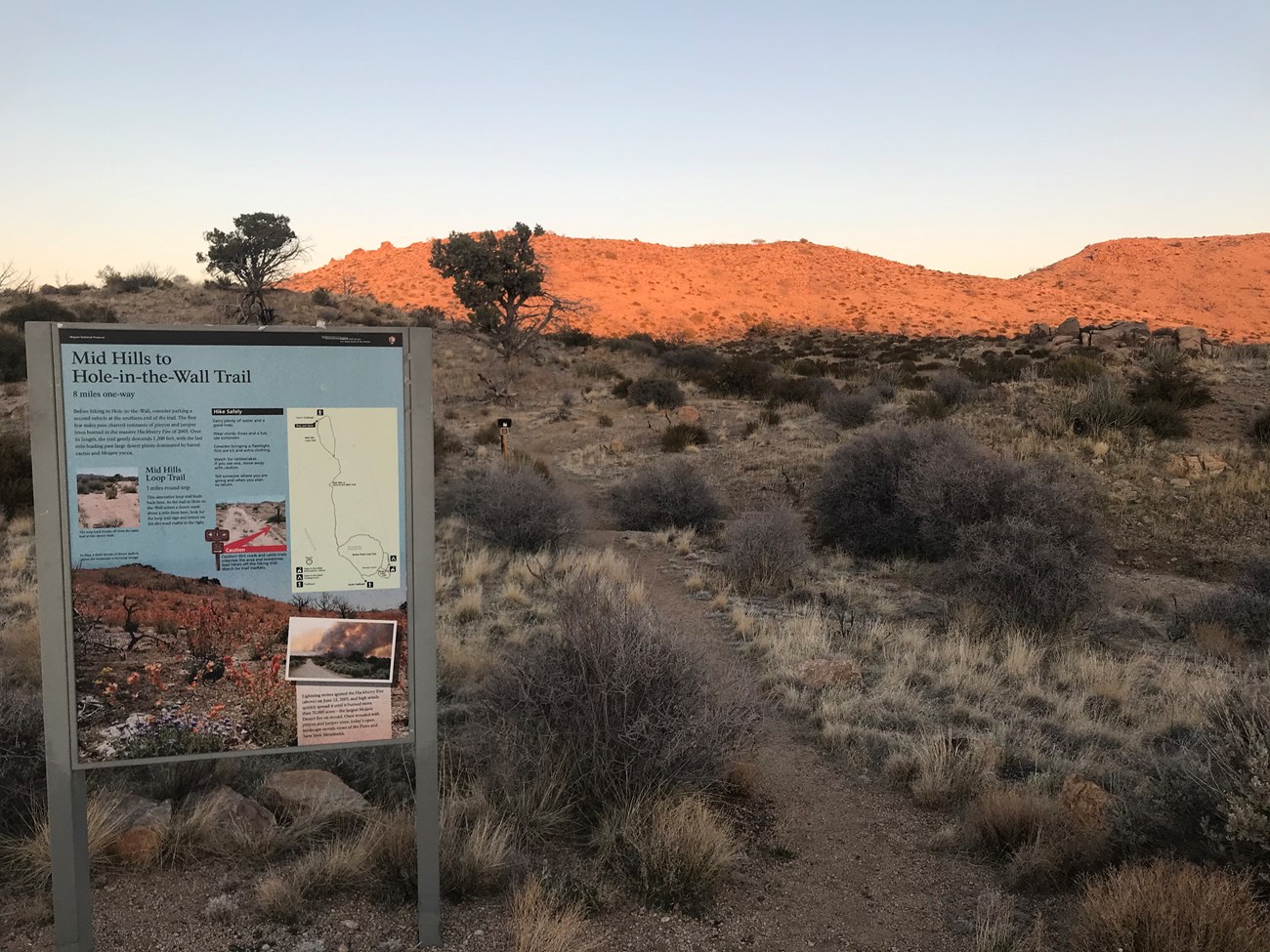 The Hole-in-the-Wall to Mid Hills trailhead at the Mid Hills Campground. The trail begins with an interpretive sign, passes through creosote, and goes towards hills illuminated by the setting sun.