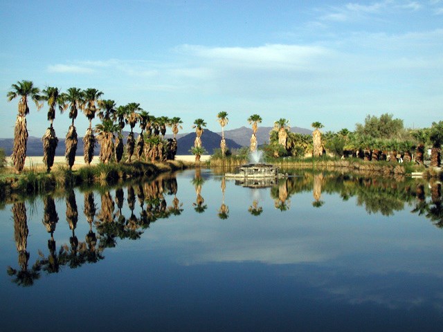 A desert lake oasis surrounded by palm trees that are reflected in the water.
