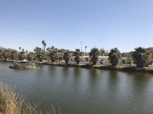 Lake Tuendae in the foreground with a water fountain and palm trees. All buildings behind the trees are private property